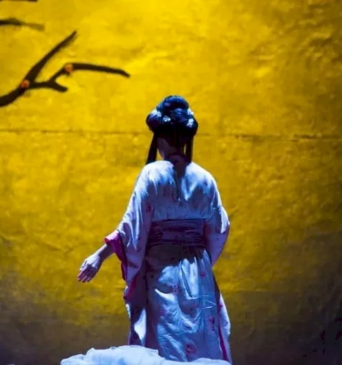 madama-butterfly-hnk-split-fest-and-event