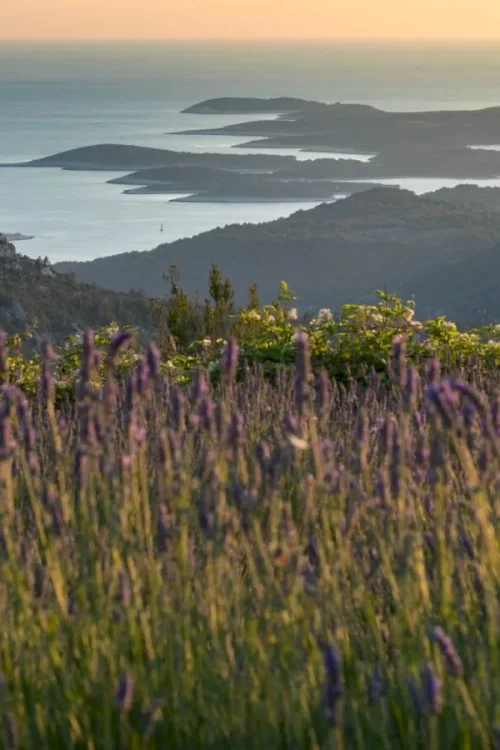 island of hvar croatia 1