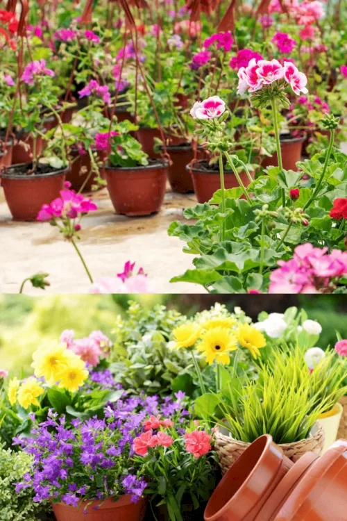 Dizajn bez naslova (5)