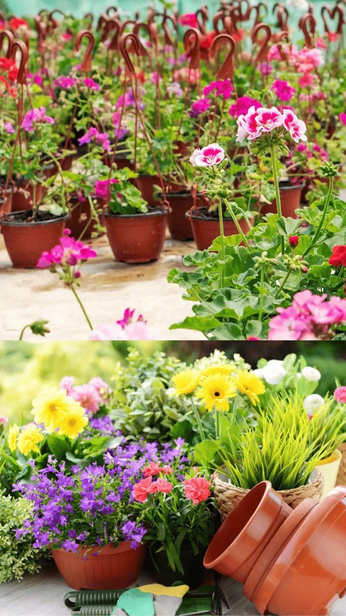 Dizajn bez naslova (5)