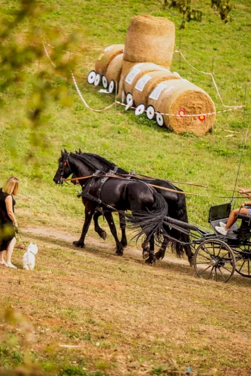 Počinje najbogatiji Štrudlafest ikada