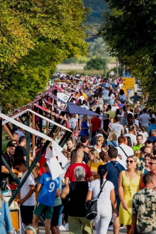 Svi vole doći na Štrudlafest